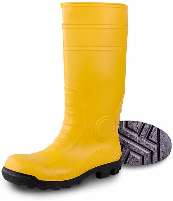 Wiesmoor Yellow