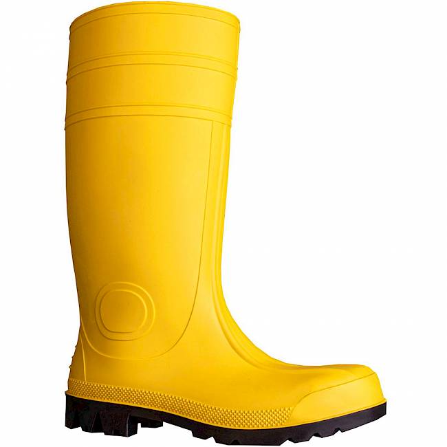 Wiesmoor Yellow